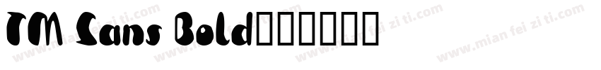 TM Sans Bold字体转换